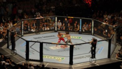 Photo of UFC 249 турнирі 18 сәуірде өтпейтін болды