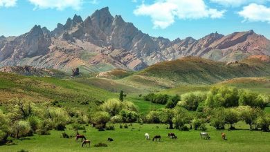 Photo of СОЗАҚ АУДАНЫНДАҒЫ ТАРИХИ ОРЫНДАРДЫ БІЛЕ ЖҮРІҢІЗ