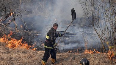 Photo of ЕГІС АЛҚАПТАРЫНДАҒЫ ӨРТТІ СӨНДІРУ