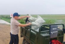 Photo of СОЗАҚ АУДАНЫНДА «ТАЗА ҚАЗАҚСТАН» АКЦИЯСЫ ҚАРҚЫНДЫ ТҮРДЕ ЖҮЗЕГЕ АСУДА