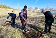 Photo of ТАЗА ТАБИҒАТ – ОРТАҚ МҰРА: СОЗАҚ АУДАНЫНДА КЕҢ КӨЛЕМДІ СЕНБІЛІК ҰЙЫМДАСТЫРЫЛДЫ