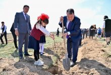 Photo of ЖАРТЫТӨБЕ АУЫЛДЫҚ ОКРУГІНДЕ АҒАШ ЕГУ ШАРАСЫ ӨТТІ