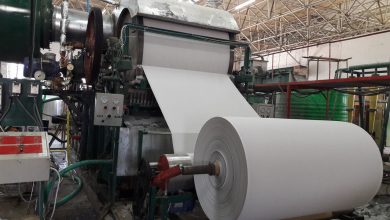 Photo of ЭКОЛОГИЯЛЫҚ ТАЗА ҚАҒАЗ ӨНДІРІСІ: АУЫЛДАРДА ЖАНАТЫН ҚАМЫС ПЕН САБАНДЫ ҚАЙТА ӨҢДЕУ ИДЕЯСЫ