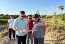 Photo of ТҮРКІСТАН: ТҮЛКІБАСТА ЭКОТУРИЗМДІ ДАМЫТУҒА БАҒЫТТАЛҒАН ТЫҢ ЖОБА БАСТАУ АЛДЫ