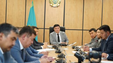 Photo of ТҮРКІСТАН ОБЛЫСЫНДА ӘЛЕУМЕТТІК-МӘДЕНИ ЖОБАЛАРДЫ ЖҮЗЕГЕ АСЫРУ ЖОЛДАРЫ ПЫСЫҚТАЛДЫ
