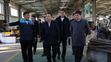 Photo of САУАН ҚАЛАСЫНЫҢ ДЕЛЕГАЦИЯ МҮШЕЛЕРІ САУРАНДАҒЫ ӨНДІРІСТІК АЛАҢДАРМЕН ТАНЫСТЫ