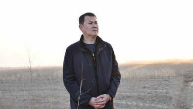 Photo of ОТЫРАР АУДАНЫНДА АҒАШ КӨШЕТТЕРІН ӨСІРУ ЖӘНЕ КӨГАЛДАНДЫРУ ЖҰМЫСТАРЫНЫҢ ЖАЙ-КҮЙІ ТАНЫСТЫРЫЛДЫ