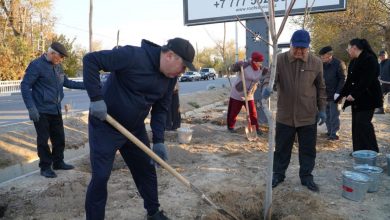 Photo of БӘЙДІБЕК АУДАНЫНДА КҮЗГІ КӨГАЛДАНДЫРУ ЖҰМЫСТАРЫ ЖАҢА ДЕҢГЕЙГЕ ШЫҚТЫ