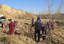 Photo of САЙРАМДА ЖАСЫЛ ҚОРДЫ КҮШЕЙТУ – ТҰҒЫРЛЫ ҰЛТТЫҚ БАСТАМА