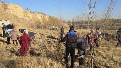 Photo of САЙРАМДА ЖАСЫЛ ҚОРДЫ КҮШЕЙТУ – ТҰҒЫРЛЫ ҰЛТТЫҚ БАСТАМА