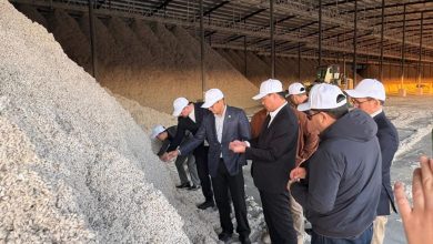 Photo of ТҮРКІСТАН ОБЛЫСЫНДА МАҚТА КЛАСТЕРІ ДАМУДА