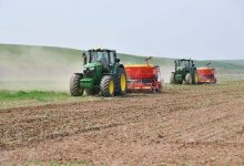 Photo of ТҮРКІСТАН: ЕГІСТІК АЛҚАПТАР ҰЛҒАЙЫП, ӨНІМДІЛІК АРТҚАН