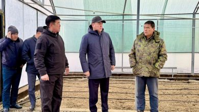 Photo of ТҮРКІСТАНДАҒЫ ЗАМАНАУИ ТҰҚЫМБАҚТЫҢ ЖҰМЫСЫН ЖАНДАНДЫРУ ТАПСЫРЫЛДЫ