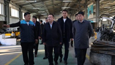 Photo of ТҮРКІСТАН: САУРАНДА ҚХР САУАН ҚАЛАСЫ ДЕЛЕГАЦИЯСЫМЕН РЕСМИ КЕЗДЕСУ ӨТІП, ӨНДІРІСТІК АЛАҢДАР ТАНЫСТЫРЫЛДЫ