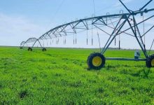 Photo of ТҮРКІСТАН ОБЛЫСЫ СУ ҮНЕМДЕУ ТЕХНОЛОГИЯСЫН ЕНГІЗУ МЕН «АУЫЛ АМАНАТЫ» ЖОБАСЫН ІСКЕ АСЫРУДА ЕЛ АЛДЫНДА КЕЛЕ ЖАТЫР