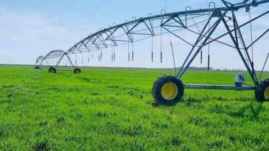 Photo of ТҮРКІСТАН ОБЛЫСЫ СУ ҮНЕМДЕУ ТЕХНОЛОГИЯСЫН ЕНГІЗУ МЕН «АУЫЛ АМАНАТЫ» ЖОБАСЫН ІСКЕ АСЫРУДА ЕЛ АЛДЫНДА КЕЛЕ ЖАТЫР