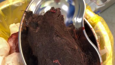 Photo of 15 ЖАСТАҒЫ ҚЫЗДЫҢ ІШІНЕН 1 КЕЛІ ШАШ ШЫҚТЫ