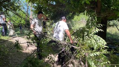 Photo of ДҮНИЕЖҮЗІЛІК  ҚОРШАҒАН ОРТАНЫ ҚОРҒАУ КҮНІНЕ ОРАЙ САЙРАМ АУДАНЫНДА СЕНБІЛІК ӨТТІ