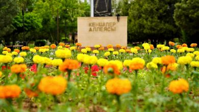Photo of МЕМЛЕКЕТ БАСШЫСЫНЫҢ БАСТАМАЛАРЫ КЕНТАУ ҚАЛАСЫНДА КЕЗЕҢ-КЕЗЕҢІМЕН ЖҮЗЕГЕ АСЫРЫЛУДА