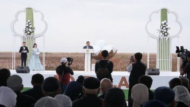 Photo of ТҮРКІСТАН ОБЛЫСЫНДА МАҚТАШЫЛАРҒА ҚҰРМЕТ КӨРСЕТІЛДІ