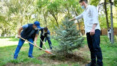 Photo of МҰРАТ ӘЙТЕНОВ ОҚУШЫЛАРДЫҢ МЕКТЕПКЕ ЖАСАҒАН ИГІ ІСТЕРІНЕ РИЗАШЫЛЫҚ БІЛДІРДІ