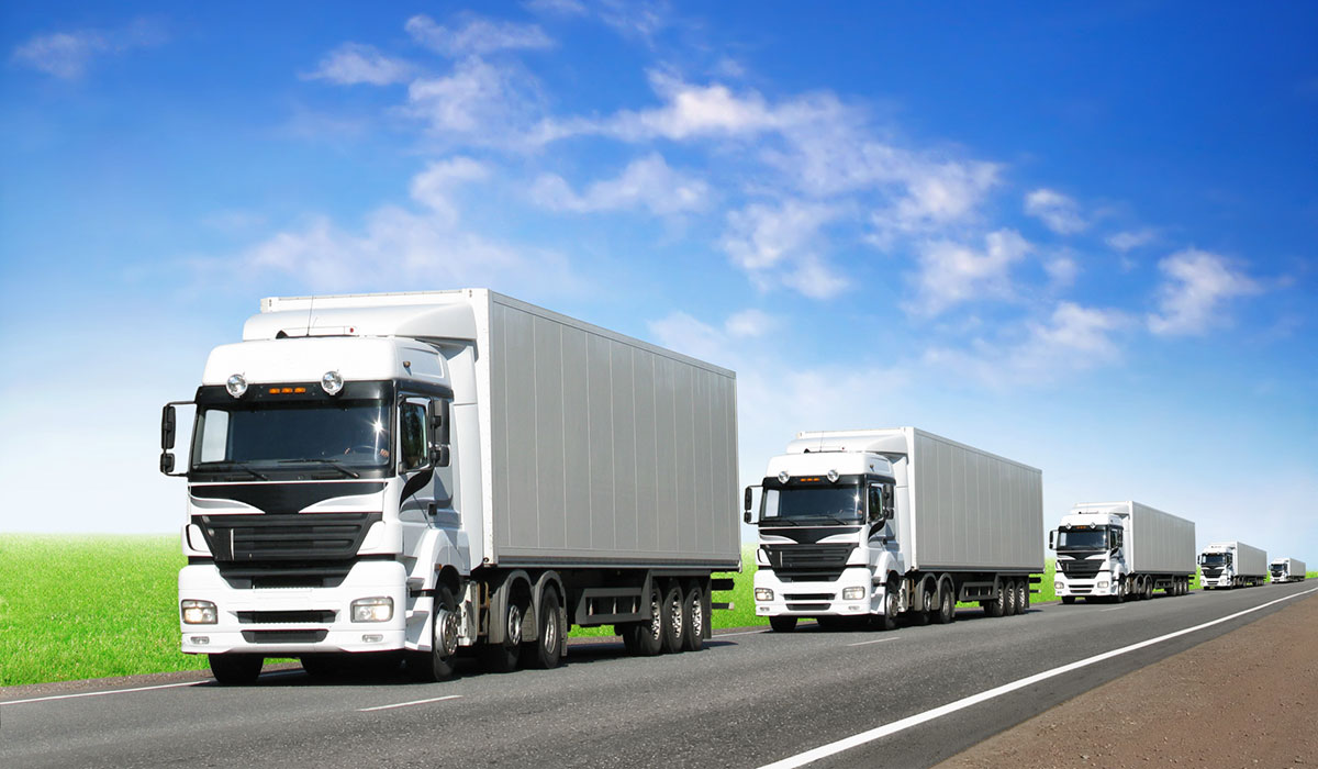 Орыс свингерлері сюжетті