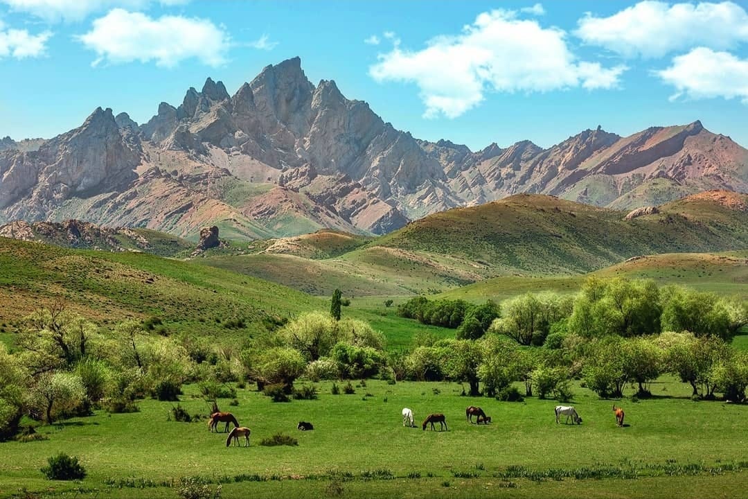 Порно фотосуреттерді алдау