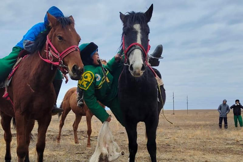 Кімнің мысы кеңірек?