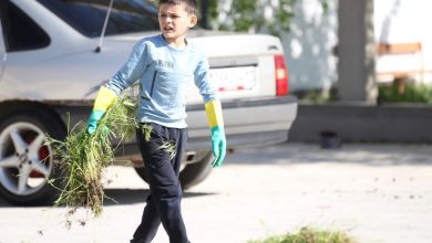 Photo of ЖАЛПЫҚАЛАЛЫҚ СЕНБІЛІКТЕ 100 ТОННАДАН АСТАМ ҚОҚЫС ЖИНАЛДЫ