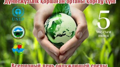 Photo of Дүниежүзілік қоршаған орта күні және Төле би ауданының экологиялық дамуындағы маңызды қадамдар