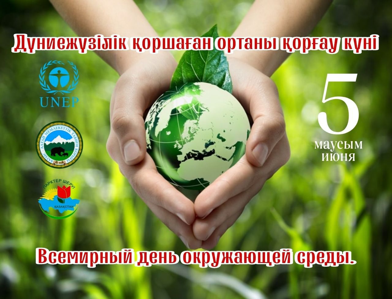 Жоғарғы көріністегі порно фото Порно мультфильм «Біз Простоквашиноданбыз»