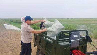 Photo of СОЗАҚ АУДАНЫНДА «ТАЗА ҚАЗАҚСТАН» АКЦИЯСЫ ҚАРҚЫНДЫ ТҮРДЕ ЖҮЗЕГЕ АСУДА