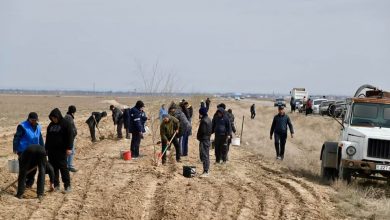 Photo of ЖАЛПЫАУДАНДЫҚ СЕНБІЛІК ЖҰМЫСТАРЫ ҰЙЫМДАСТЫРЫЛДЫ
