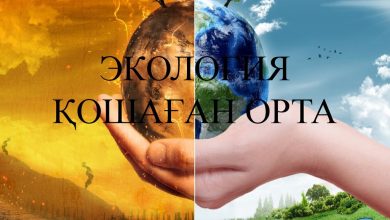 Photo of СОЗАҚ АУДАНЫНЫҢ ЭКОЛОГИЯСЫ: ТАБИҒАТ ПЕН ТҰРАҚТЫ ДАМУ ЖОЛЫНДАҒЫ КҮРДЕЛІ ТЕПЕ-ТЕҢДІК
