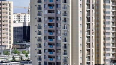 Photo of «МЕНІҢ ЕЛІМ – МЕНІҢ ТУЫМ»: ЖАЛПЫРЕСПУБЛИКАЛЫҚ НАУҚАНЫ ТҮРКІСТАНДА ЖАЛҒАСТЫ