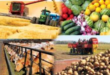 Photo of АУЫЛ ШАРУАШЫЛЫҒЫНДА ЖАҢАШЫЛ ЖОБАЛАР – ТҮРКІСТАН ӨҢІРІНІҢ АГРАРЛЫҚ САЛАДАҒЫ ТЕХНОЛОГИЯЛЫҚ БҰРЫЛЫСЫ