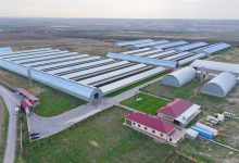 Photo of ТҮРКІСТАН ОБЛЫСЫНДА ИНДУСТРИАЛДЫ АЙМАҚТАР ЖӘНЕ ШАҒЫН ӨНЕРКӘСІПТІК ПАРКТЕР: ӨҢІРДІҢ ӨНДІРІСТІК ҚУАТЫН АРТТЫРУҒА БАҒЫТТАЛҒАН ЖОБАЛАР
