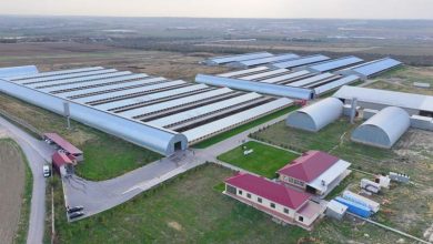 Photo of ТҮРКІСТАН ОБЛЫСЫНДА ИНДУСТРИАЛДЫ АЙМАҚТАР ЖӘНЕ ШАҒЫН ӨНЕРКӘСІПТІК ПАРКТЕР: ӨҢІРДІҢ ӨНДІРІСТІК ҚУАТЫН АРТТЫРУҒА БАҒЫТТАЛҒАН ЖОБАЛАР
