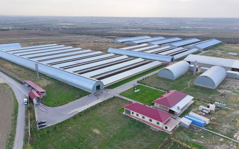 Толық метражды порно 480