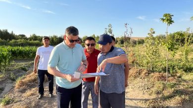 Photo of ТҮРКІСТАН: ТҮЛКІБАСТА ЭКОТУРИЗМДІ ДАМЫТУҒА БАҒЫТТАЛҒАН ТЫҢ ЖОБА БАСТАУ АЛДЫ