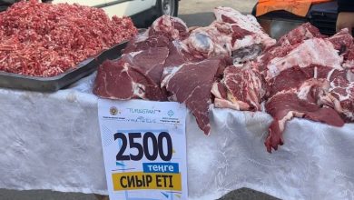 Photo of ТҮРКІСТАНДА КЕЗЕКТІ АЗЫҚ-ТҮЛІК ЖӘРМЕҢКЕСІ ӨТТІ