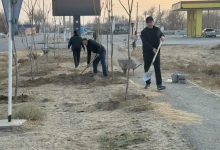 Photo of БӘЙДІБЕК: ШАЯН ЕЛДІ МЕКЕНІНДЕ КҮЗГІ ТАЛ ЕГУ ЖҰМЫСТАРЫ ЖАЛҒАСУДА