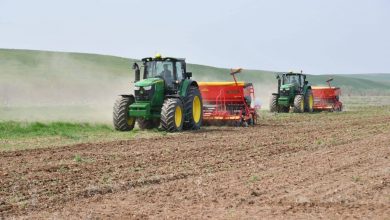 Photo of ТҮРКІСТАН: ЕГІСТІК АЛҚАПТАР ҰЛҒАЙЫП, ӨНІМДІЛІК АРТҚАН