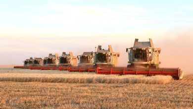 Photo of 2025 ЖЫЛҒЫ ЕГІН ЖИНАУ НАУҚАНЫ ТҮРКІСТАН ОБЛЫСЫНДА ЖОҒАРЫ ДЕҢГЕЙДЕ ҚОРЫТЫНДЫЛАНДЫ