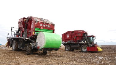 Photo of ТҮРКІСТАН ОБЛЫСЫ АГРАРЛЫҚ СЕКТОРДА ЖАҢА НӘТИЖЕЛЕРГЕ ҚОЛ ЖЕТКІЗДІ