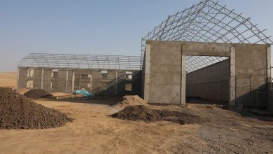 Photo of ТҮРКІСТАН: САРЫАҒАШ АУДАНЫНДА ҚҰС ШАРУАШЫЛЫҒЫ ҚАРҚЫНДЫ ДАМЫП КЕЛЕДІ