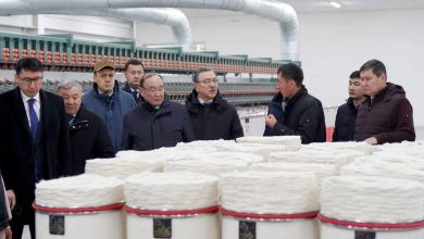 Photo of ТҮРКІСТАНДА АУЫЛ ШАРУАШЫЛЫҒЫ ӨНІМДЕРІН ТЕРЕҢ ӨҢДЕУ ЖӨНІНДЕГІ ІРІ ЖОБАЛАРДЫҢ АУҚЫМЫН КЕҢЕЙТУ БАҒЫТЫНДА ЖҮЙЕЛІ ЖҰМЫСТАР ЖҮРГІЗІЛУДЕ