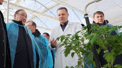 Photo of ТҮРКІСТАН: АГРОӨНЕРКӘСІП ЖОБАЛАРЫНЫҢ ІСКЕ АСУЫ – ӨҢІРДІҢ ЭКОНОМИКАЛЫҚ ДАМУЫН ТЕЗДЕТУДЕ