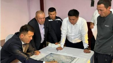 Photo of САУРАН АУДАНЫНДА КӘСІПКЕРЛІКТІ ҚОЛДАУ – ЭКОНОМИКАНЫҢ ЖАҢА СЕРПІНІ