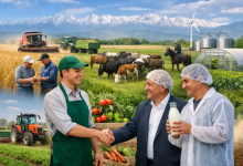 Photo of ЖЕРГІЛІКТІ КӘСІПКЕРЛІКТІ ДАМЫТУ – САУРАННЫҢ ЭКОНОМИКАЛЫҚ ӘЛЕУЕТІН АРТТЫРУДЫҢ ЖОЛЫ